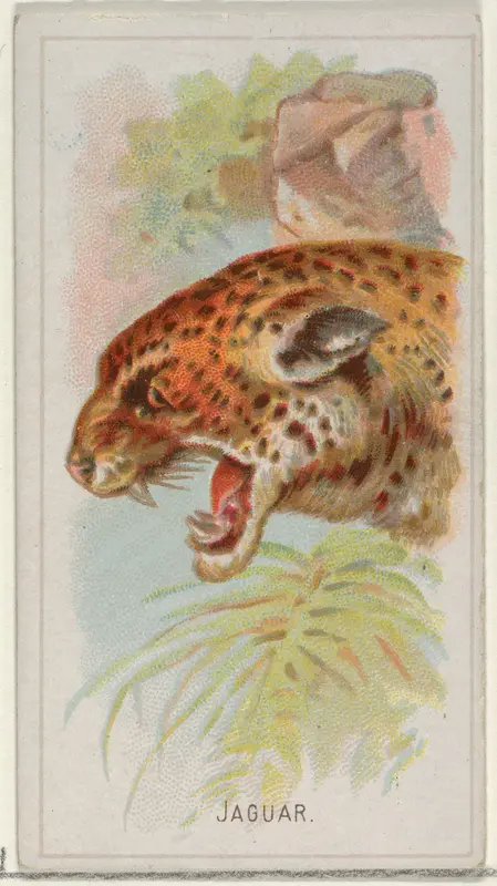 Jaguar, from the Wild Animals of the World series (N25) for Allen & Ginter Cigarettes Wall Art by Allen & Ginter - High-Resolution Digital Print