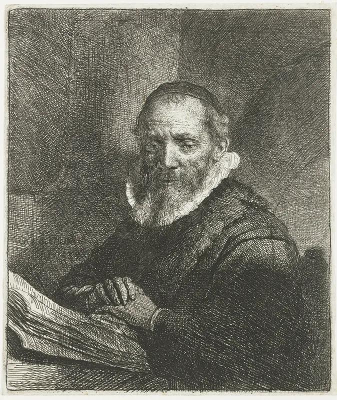 Jan Cornelis Sylvius Wall Art by Unknown - High-Resolution Digital Print