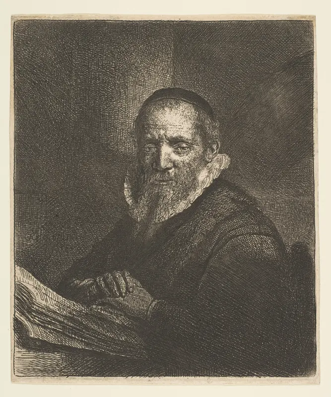 Jan Cornelis Sylvius Wall Art by Rembrandt (Rembrandt van Rijn) - High-Resolution Digital Print