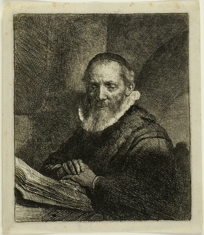 Jan Cornelius Sylvius Wall Art by Rembrandt van Rijn - High-Resolution Digital Print