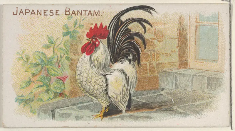 Japanese Bantam, from the Prize and Game Chickens series (N20) for Allen & Ginter Cigarettes Wall Art by Allen & Ginter - High-Resolution Digital Print