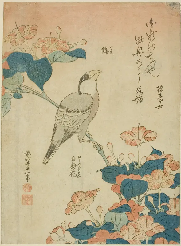 Japanese Grosbeak and Marvel of Peru (Ikaru, oshiroi no hana), from an untitled series of flowers and birds Wall Art by Katsushika Hokusai - High-Resolution Digital Print