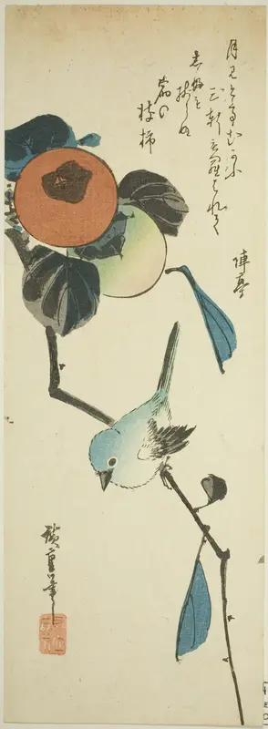 Japanese white-eye and persimmons