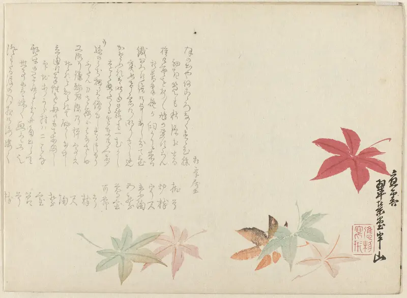 Japanse esdoorn Wall Art by Unknown - High-Resolution Digital Print