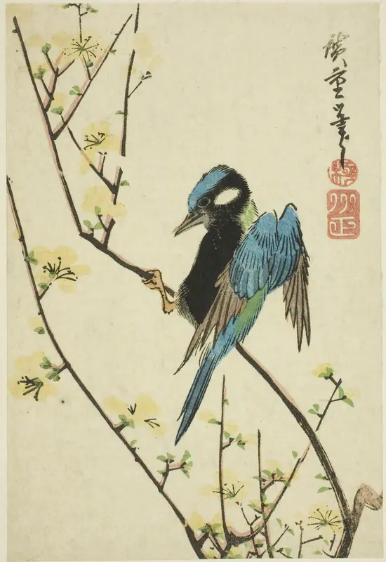 Java sparrow on cherry branch