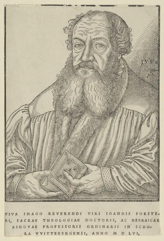 Johann Forster Wall Art by Lucas Cranach the Younger - High-Resolution Digital Print