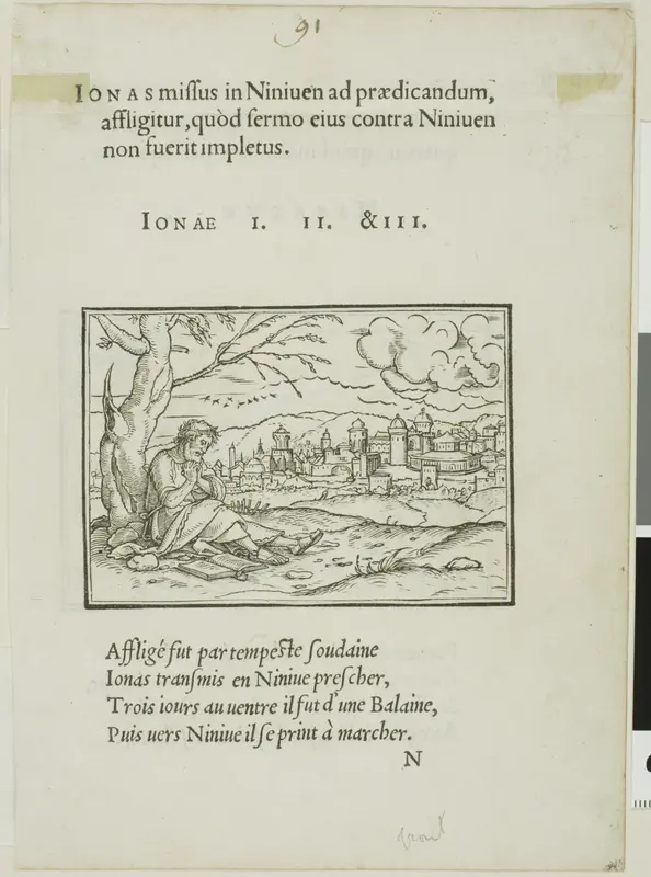 Jonah Outside Ninevah (recto); Habakkuk Carrying Bread to Reapers (verso) Wall Art by Hans Holbein, the younger - High-Resolution Digital Print