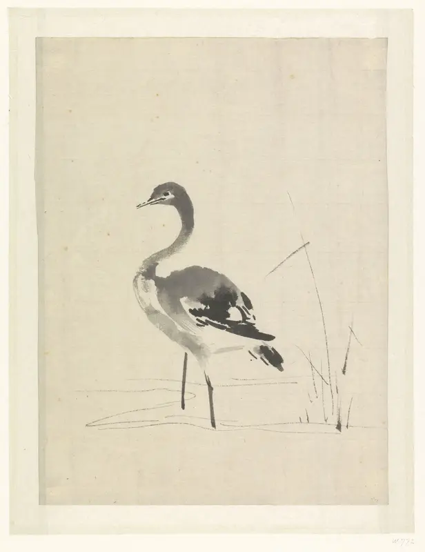 Jonge kraanvogel Wall Art by anonymous - High-Resolution Digital Print
