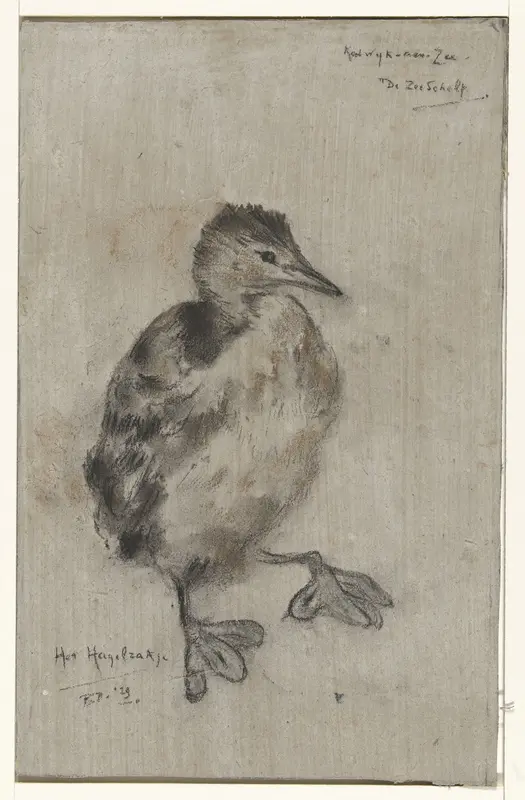 Jonge vogel Wall Art by Frederika Henriëtte Broeksmit - High-Resolution Digital Print