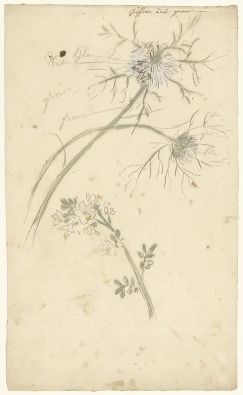 Juffertje in 't groen Wall Art by Elias van Nijmegen - High-Resolution Digital Print