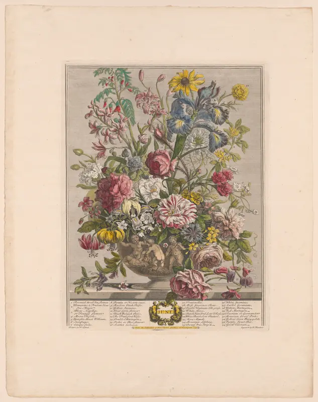 June, from Twelve Months of Flowers