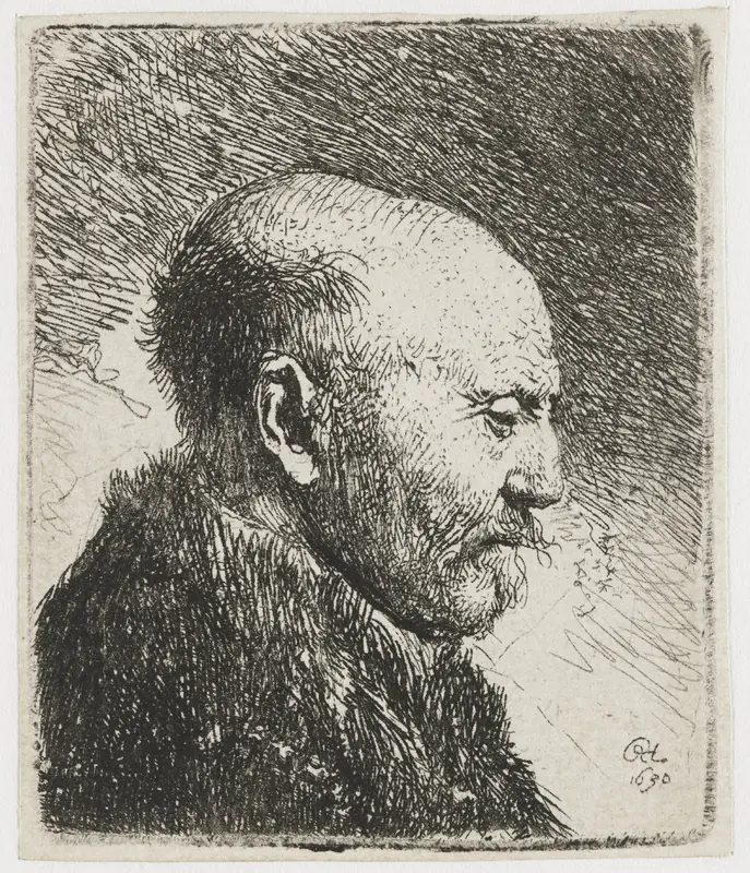 Kaalhoofdige oude man: profiel naar rechts; de vader van Rembrandt (?) Wall Art by Unknown - High-Resolution Digital Print