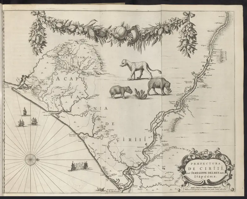 Kaart van de kust van Brazilië, 1647 Wall Art by Johannes Willemszoon Blaeu - High-Resolution Digital Print