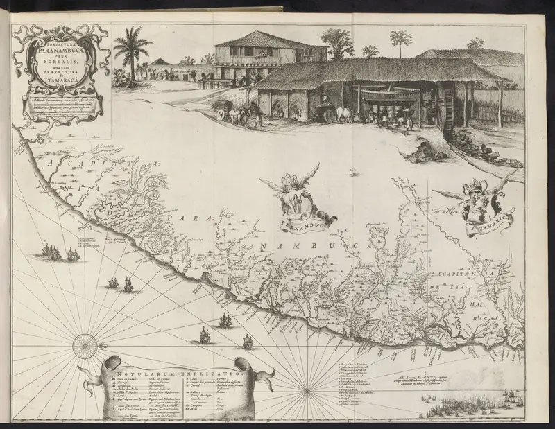Kaart van de kust van Pernambuco bij het eiland Itamaracá, 1647 Wall Art by Georg Marcgraf - High-Resolution Digital Print