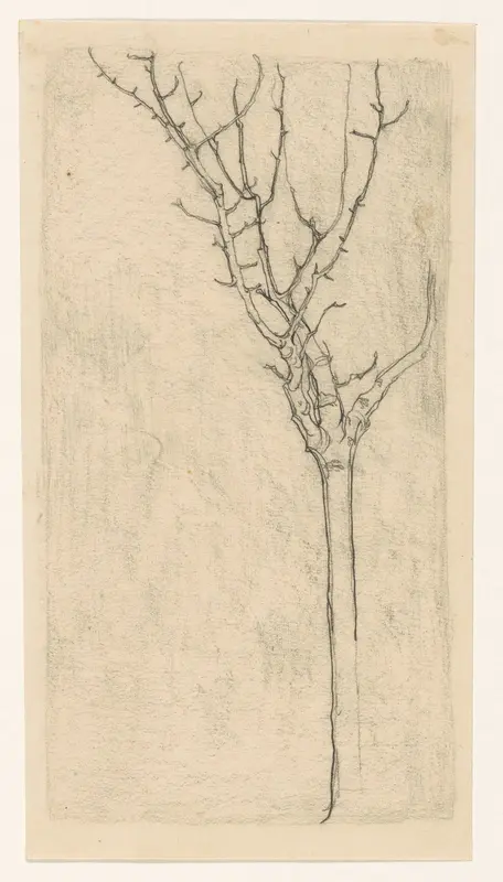 Kale boom Wall Art by Jan Mankes - High-Resolution Digital Print