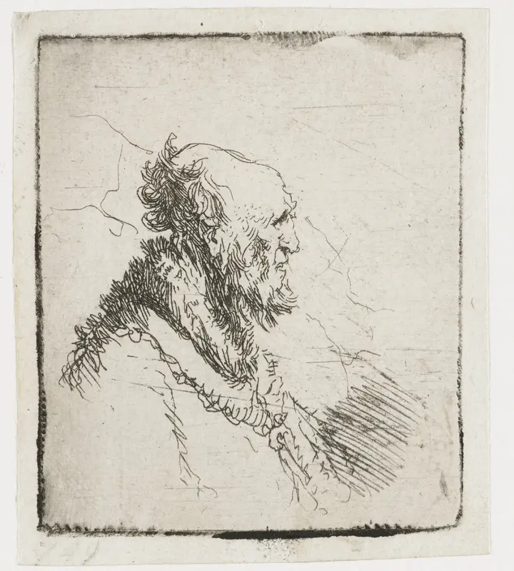 Kale oude man met korte baard Wall Art by Rembrandt van Rijn - High-Resolution Digital Print