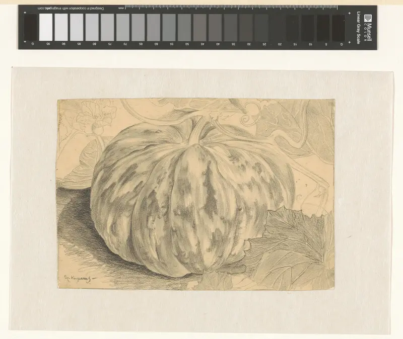 Kalebas aan een plant Wall Art by Unknown - High-Resolution Digital Print