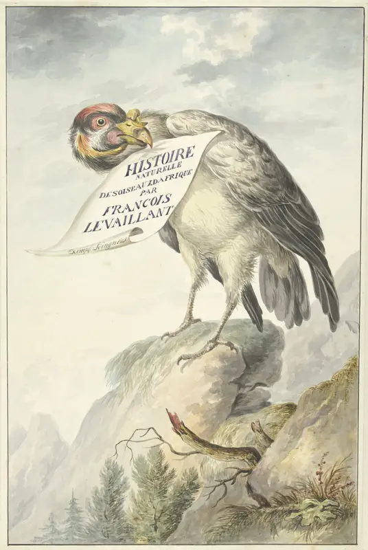 Kamgier met in zijn snavel een blad papier Wall Art by Unknown - High-Resolution Digital Print