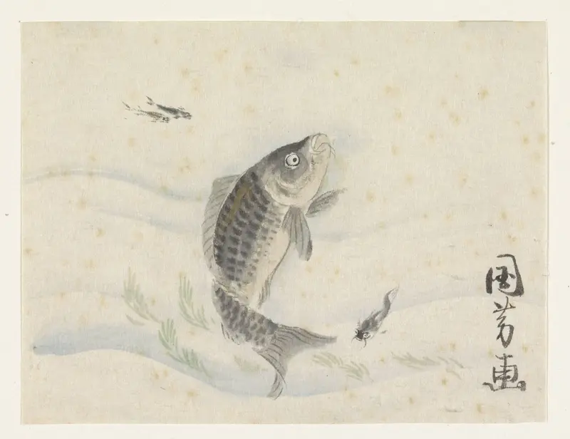 Karper zwemmend tussen wier en drie visjes Wall Art by Unknown - High-Resolution Digital Print