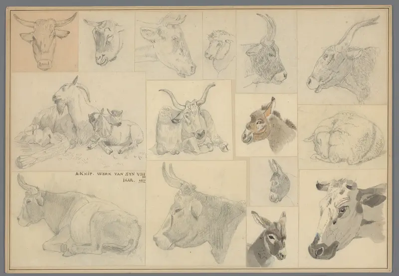Karton waarop 21 kindertekeningen van dieren geplakt zijn Wall Art by Augustus Knip - High-Resolution Digital Print