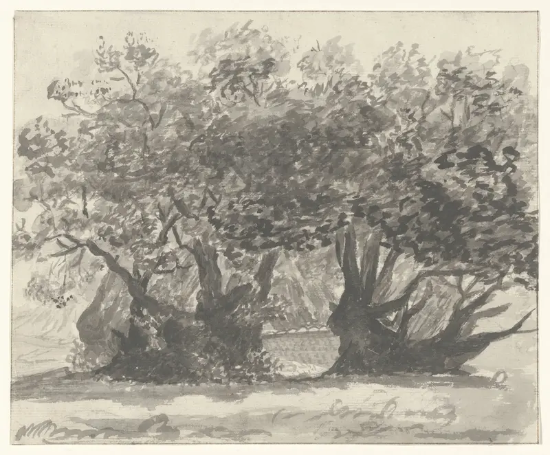 Kastanjeboom, zogenaamde Castagno di cento cavalli, op de oostelijke helling van de Etna bij Sant' Alfio Wall Art by Willem Carel Dierkens - High-Resolution Digital Print