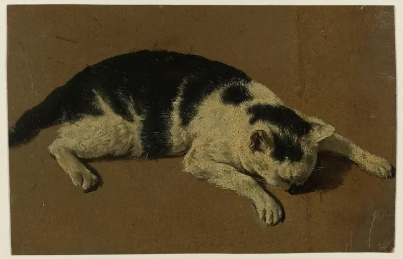Kat liggend met de kop tussen de voorpoten Wall Art by Unknown - High-Resolution Digital Print