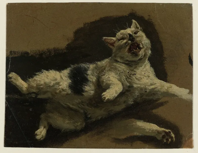 Kat liggend op de rug en los pootje Wall Art by Unknown - High-Resolution Digital Print