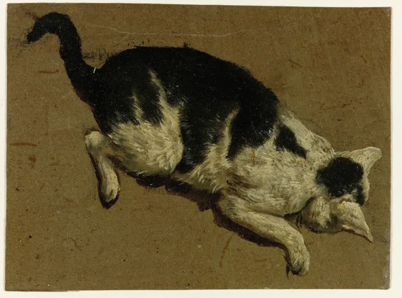 Kat vanaf een verhoging naar beneden kijkend Wall Art by Unknown - High-Resolution Digital Print