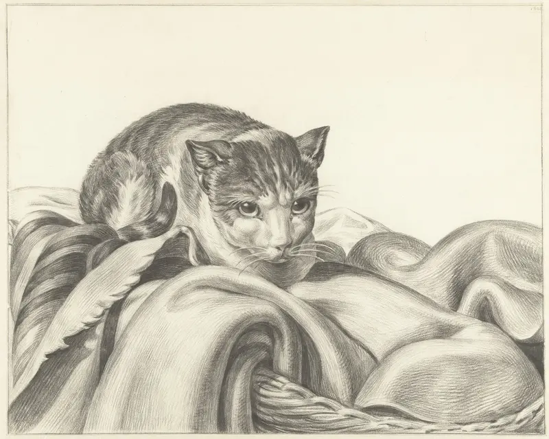 Kat, zittend in een mand Wall Art by Jean Bernard - High-Resolution Digital Print