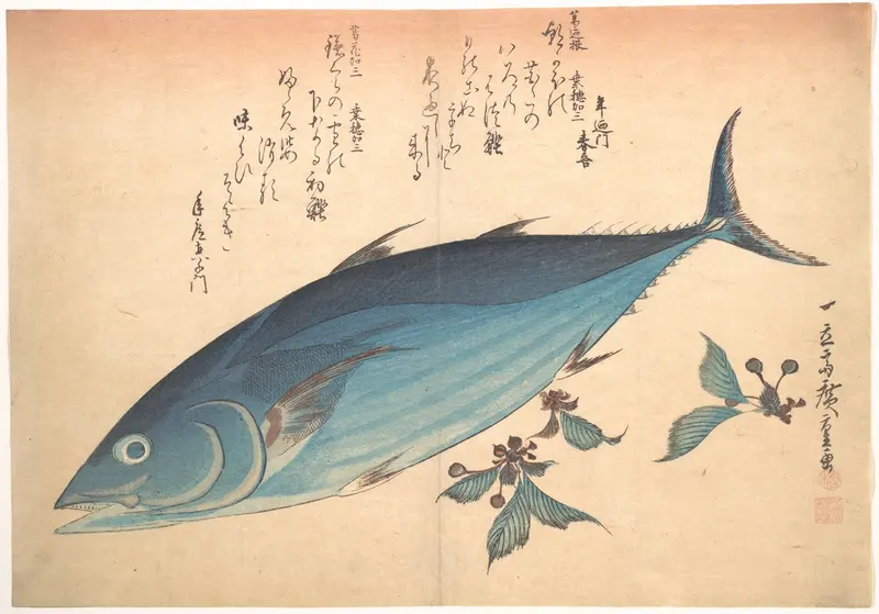 Katsuo Fish with Cherry Buds, from the series Uozukushi (Every Variety of Fish)