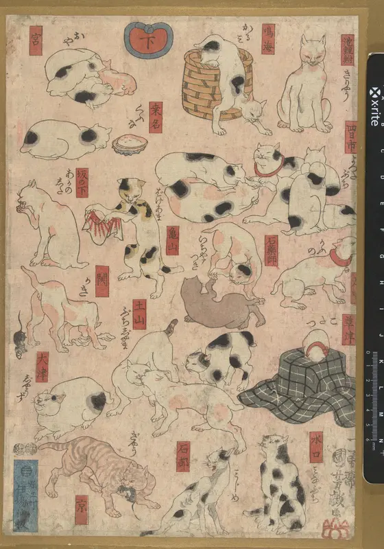 Katten voor de 53 stations van de Tokaido Wall Art by Ibaya Senzaburô - High-Resolution Digital Print