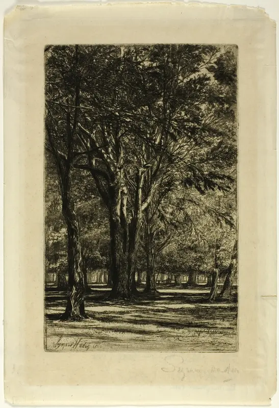 Kensington Gardens, No. II (large plate) Wall Art by Francis Seymour Haden - High-Resolution Digital Print