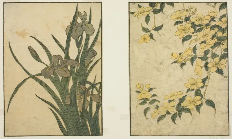 Kerria and Iris, from the illustrated book "Picture Book: Flowers of the Four Seasons (Ehon shiki no hana)," vol. 1