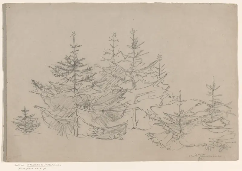 Kerstbomenbos Wall Art by Unknown - High-Resolution Digital Print