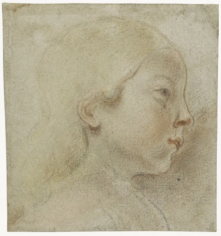 Kinderkopje, naar rechts Wall Art by Jacques Jordaens - High-Resolution Digital Print
