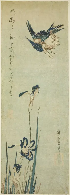 Kingfisher and iris
