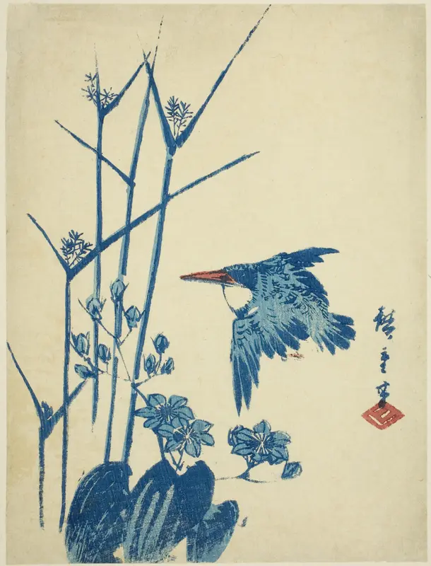 Kingfisher and monochoria
