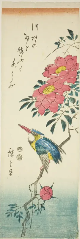 Kingfisher and roses