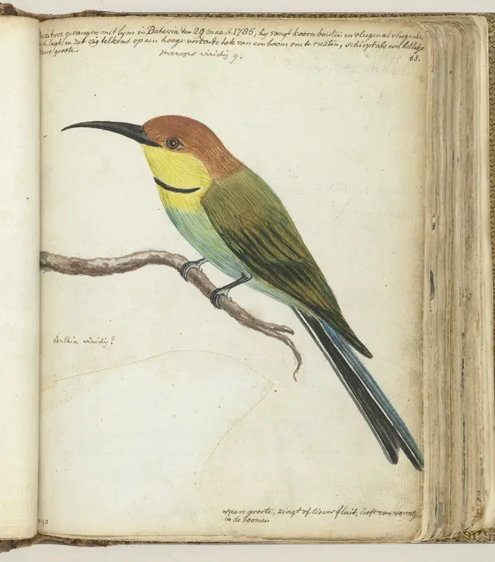 Kleine vogel op tak Wall Art by Jan Brandes - High-Resolution Digital Print