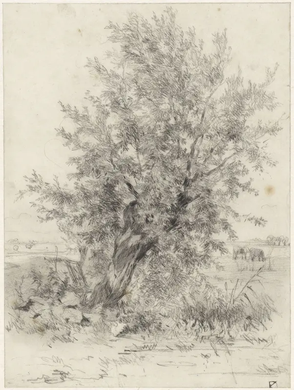 Knotwilg in een landschap Wall Art by Johan Daniël Koelman - High-Resolution Digital Print