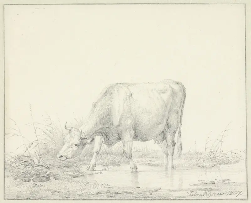 Koe, staande in een plas Wall Art by Eugène Verboeckhoven - High-Resolution Digital Print