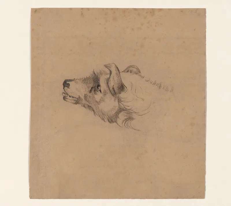 Kop van een hond, naar links Wall Art by Johannes Tavenraat - High-Resolution Digital Print