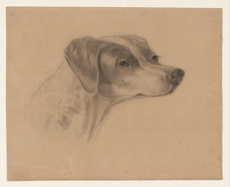Kop van een hond, naar rechts Wall Art by Johannes Tavenraat - High-Resolution Digital Print