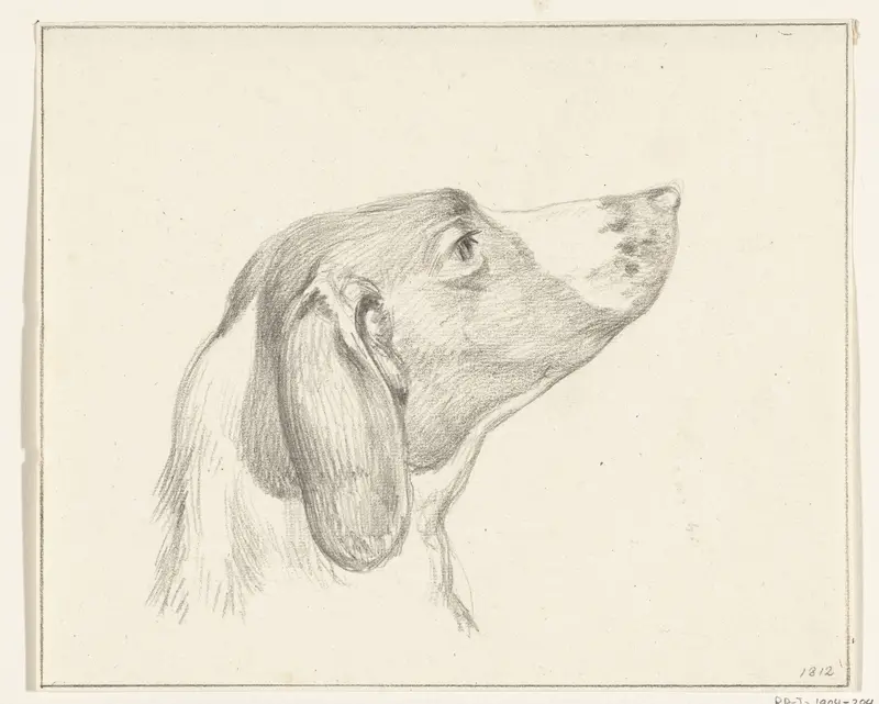 Kop van een hond, naar rechts Wall Art by Jean Bernard - High-Resolution Digital Print