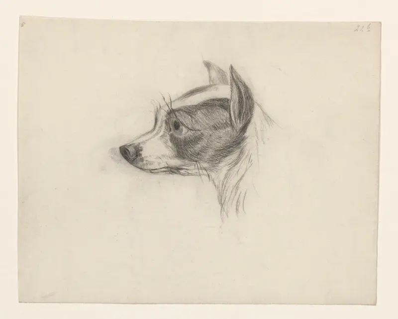 Kop van een hond Wall Art by Johannes Tavenraat - High-Resolution Digital Print