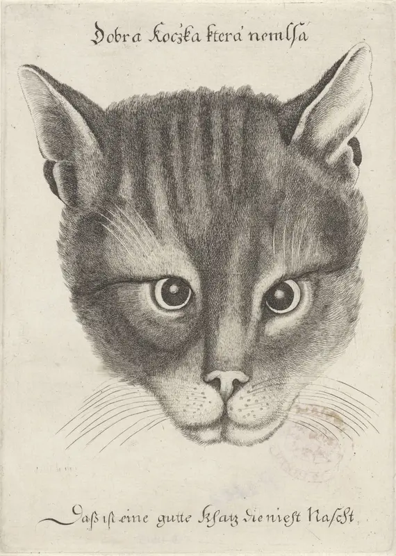 Kop van een kat Wall Art by Wenceslaus Hollar - High-Resolution Digital Print