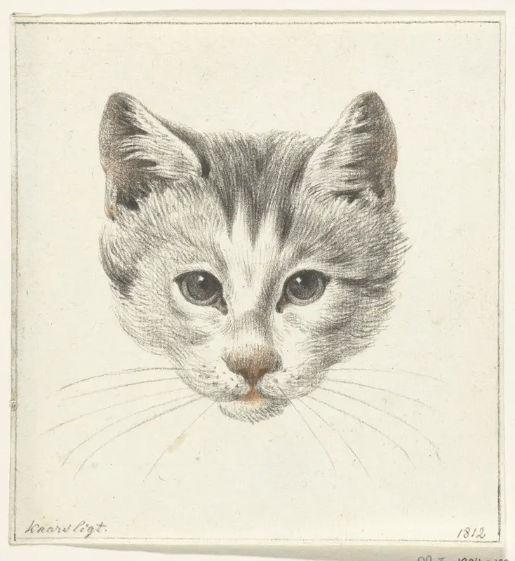 Kop van een kat, van voren gezien bij kaarslicht Wall Art by Jean Bernard - High-Resolution Digital Print