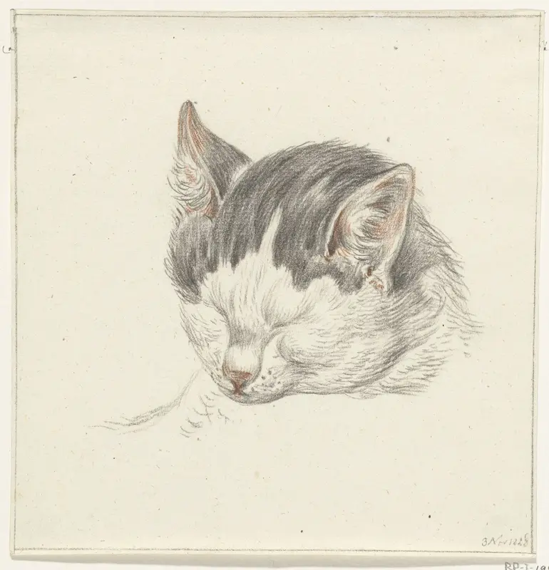 Kop van een kat, van voren Wall Art by Jean Bernard - High-Resolution Digital Print