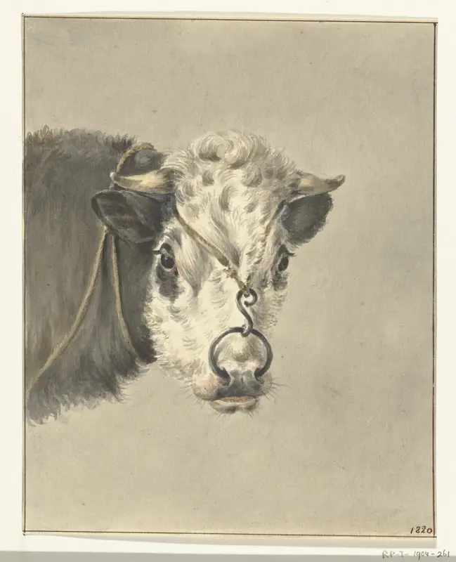 Kop van een koe, met een ring door de neus, van voren Wall Art by Jean Bernard - High-Resolution Digital Print