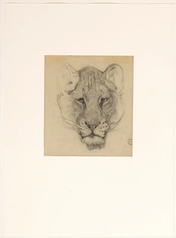 Kop van een leeuwin, van voren Wall Art by Bernard Willem Wierink - High-Resolution Digital Print